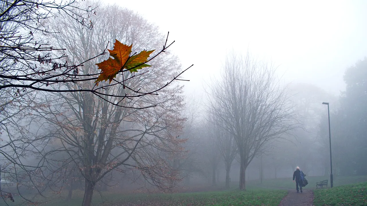 Prognoza meteo, 15 decembrie 2020. Vremea va fi caldă pentru această dată