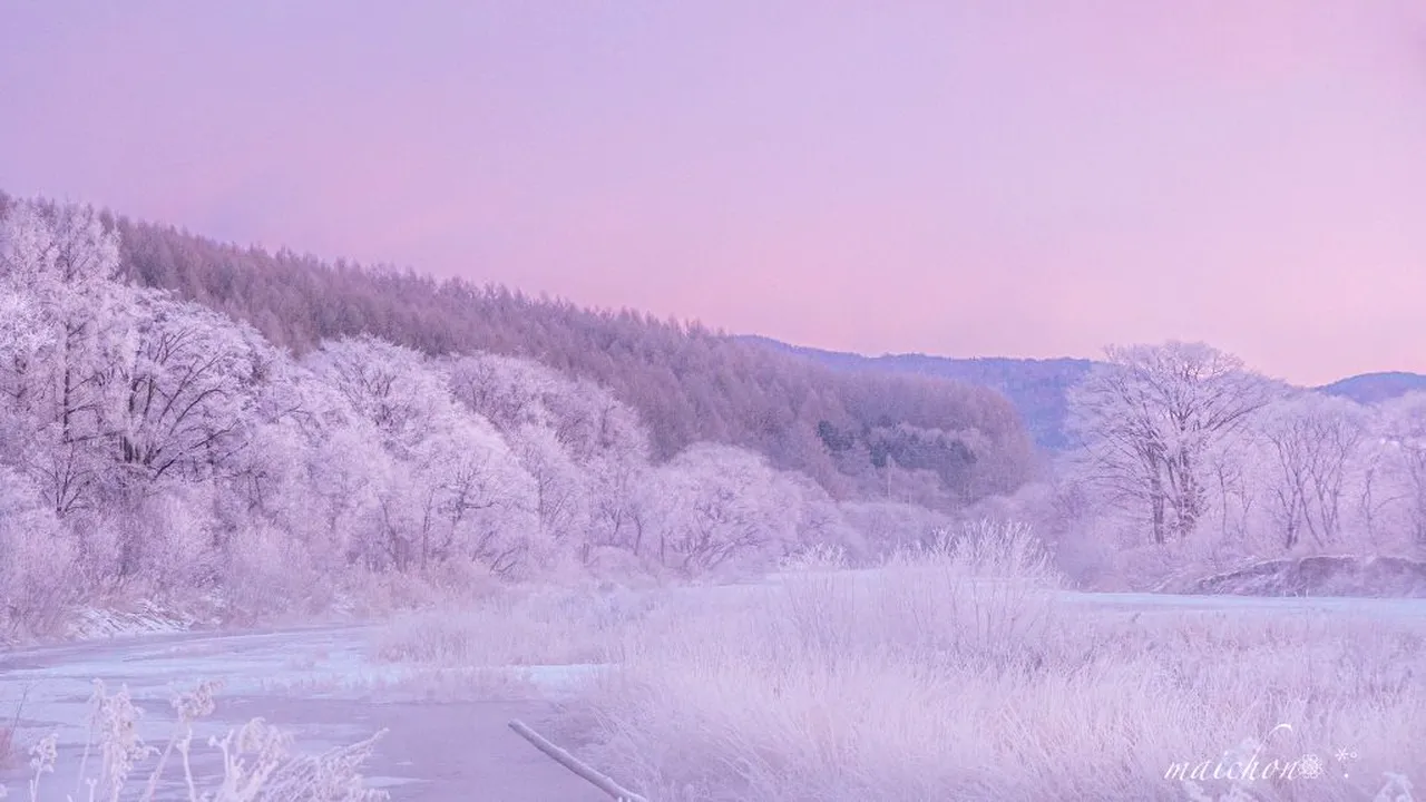 Furtună de zăpadă în Japonia! Insula Hokkaido, sub nămeți! (Galerie FOTO&VIDEO)