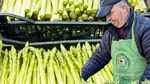 De la fermele din Germania, la propria plantație cu „hrana regilor”. Un bucovinean a dat lovitura cu o afacere cu sparanghel