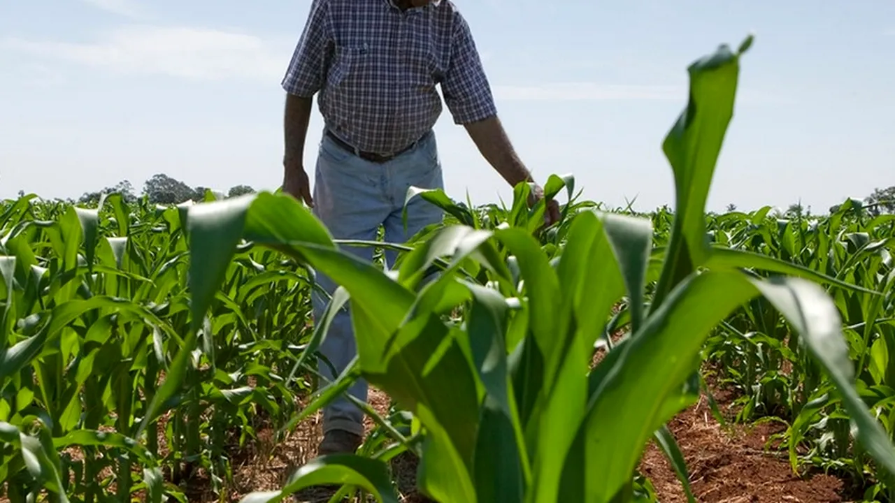 Unul din cei mai mari producători de semințe din lume va disponibiliza 1.800 de angajați