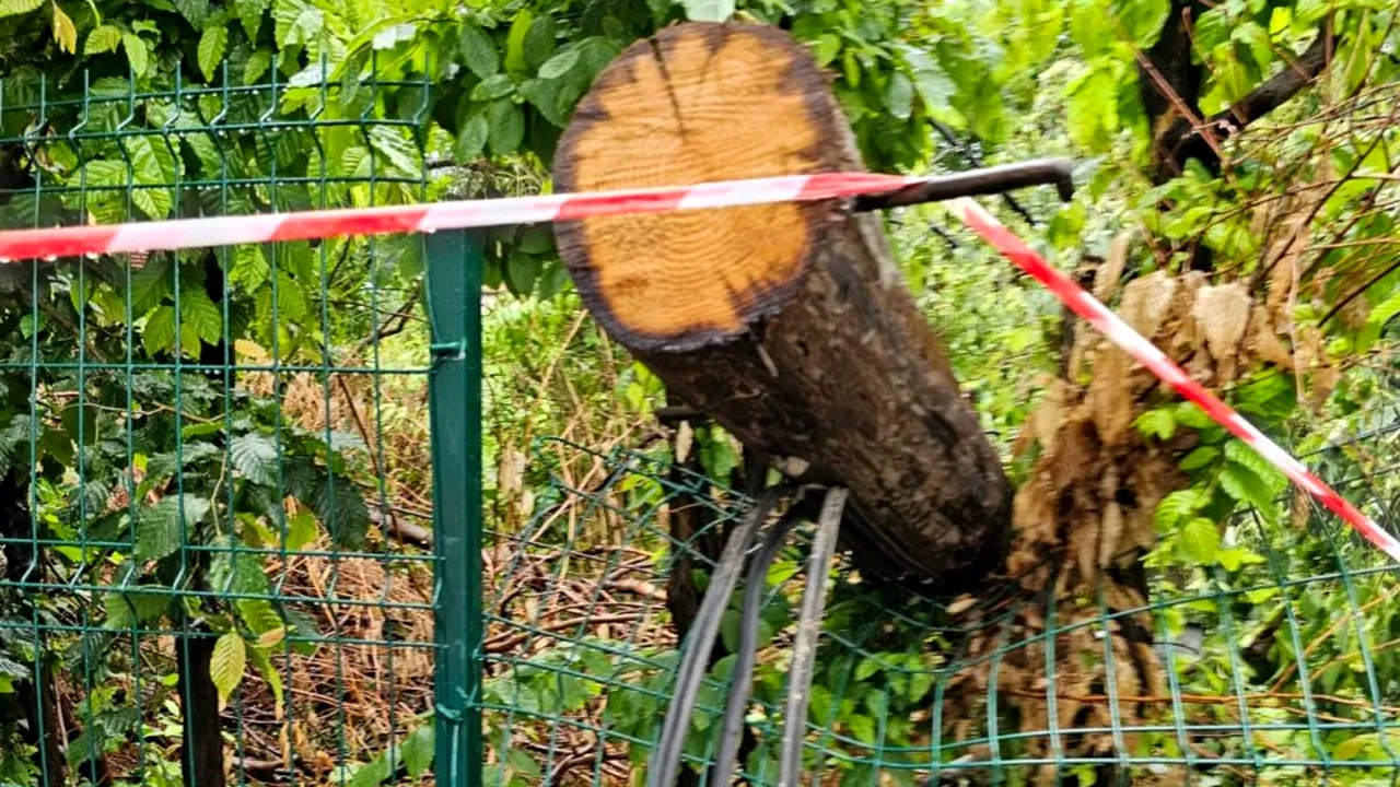 ”Stau de o săptămână cu stâlpul căzut pe gard și ei îmi fac legătura la colegul”. Se întâmplă în 2023, în România, după o furtună