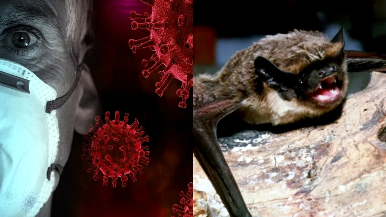 IPOTEZĂ ȘOCANTĂ Coronavirusul SARS-CoV-2 a infectat oamenii cu mult înainte să devină LETAL