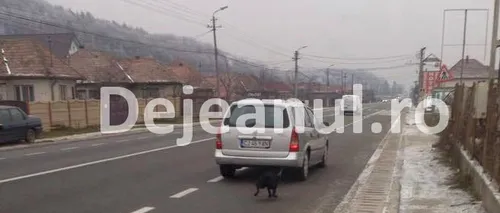 Cruzime fără margini. Un șofer și-a legat câinele de autoturism, apoi a pornit la drum - FOTO