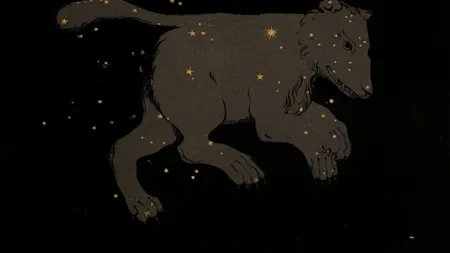 Oamenii de știință au detectat pulsuri RADIO misterioase din direcția constelației Carul Mare. Care ar fi cauza?