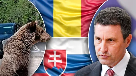 Tanczos Barna anunță că 12 state UE sprijină inițiativa României și a Slovaciei de reglementare a statutului ursului brun