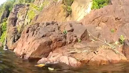 VIDEO. Cum a fost atacat un turist de un crocodil 