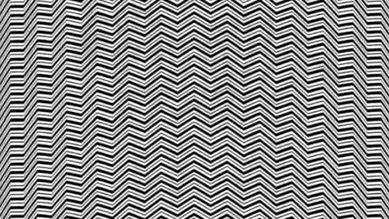 Iluzie optică virală | Doar un geniu poate vedea animalul ascuns în această fotografie