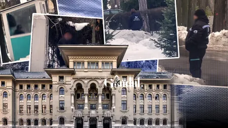 Primăria Capitalei aruncă pe fereastră milioane de lei pentru paza Parcului Herăstrău cu bodyguarzi care mai mult „taie frunza la câini”. Marile parcuri din București, „păzite” cu un contract de peste 7 milioane de euro