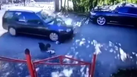 Cățeluși călcați și omorâți cu nonșalanță de o șoferiță din Fălticeni. Doi pui au murit în chinuri groaznice (VIDEO)