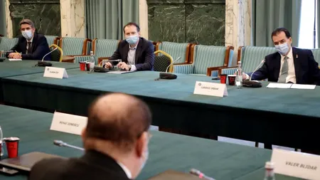 ECONOMIE. Ludovic Orban, negocieri cu ANEIR. Statul român acceptă să garanteze creditele marilor firme!