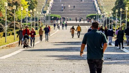 Firmă amendată cu 50.000 de lei de PMB, după ce a efectuat ilegal lucrări în Parcul Carol. Nici Apa Nova nu a scăpat