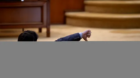 Stanciu și Tănăsescu, opinii separate la CCR: Noul Guvern trebuia confirmat de Parlament