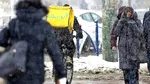 Se întorc iernile de altădată? Bucureștiul, față în față cu prima NINSOARE adevărată din acest an / Ce spun meteorologii