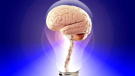 Dacă vrei să memorezi ceva, trebuie să faci acest exercițiu la patru ore după ce ai citit