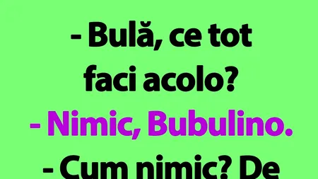 BANC | Bulă și certificatul de căsătorie