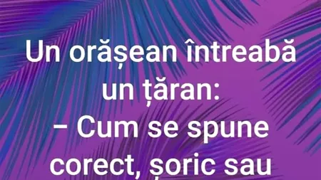 BANCUL ZILEI | Cum se spune corect: șoric sau șorici?