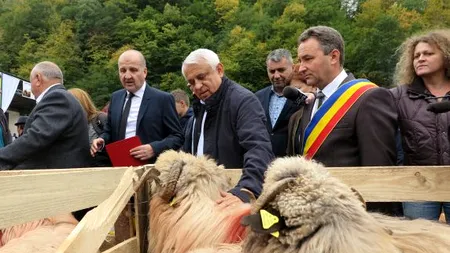 Daea l-a verificat pe un cioban dacă știe cum să urce dealul fără să-l doară spatele. Pentru că nu știa, l-a învățat chiar el.VIDEO