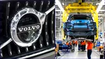 Dezastru la bursă pentru Volvo după ce a înregistrat pierderi de până la 30%. Se anunță concedieri în masă după ce concurența din China și tarifele din SUA au adus compania pe minus