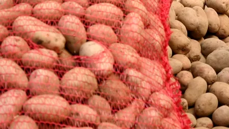 Ce mai vinde FISCUL arădean la licitație: 21 de tone de cartofi la 30 de bani kilogramul