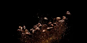 <span style='background-color: #00a093; color: #fff; ' class='highlight text-uppercase'>SĂNĂTATE</span> Zațul de CAFEA are multiple întrebuințări surprinzătoare, de la îngrășământ la vopsea de păr