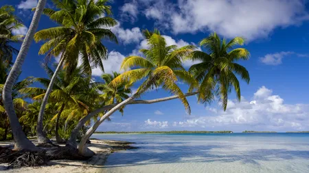 O insulă a fost descoperită în Oceanul Pacific. De ce este unică, potrivit oamenilor de știință