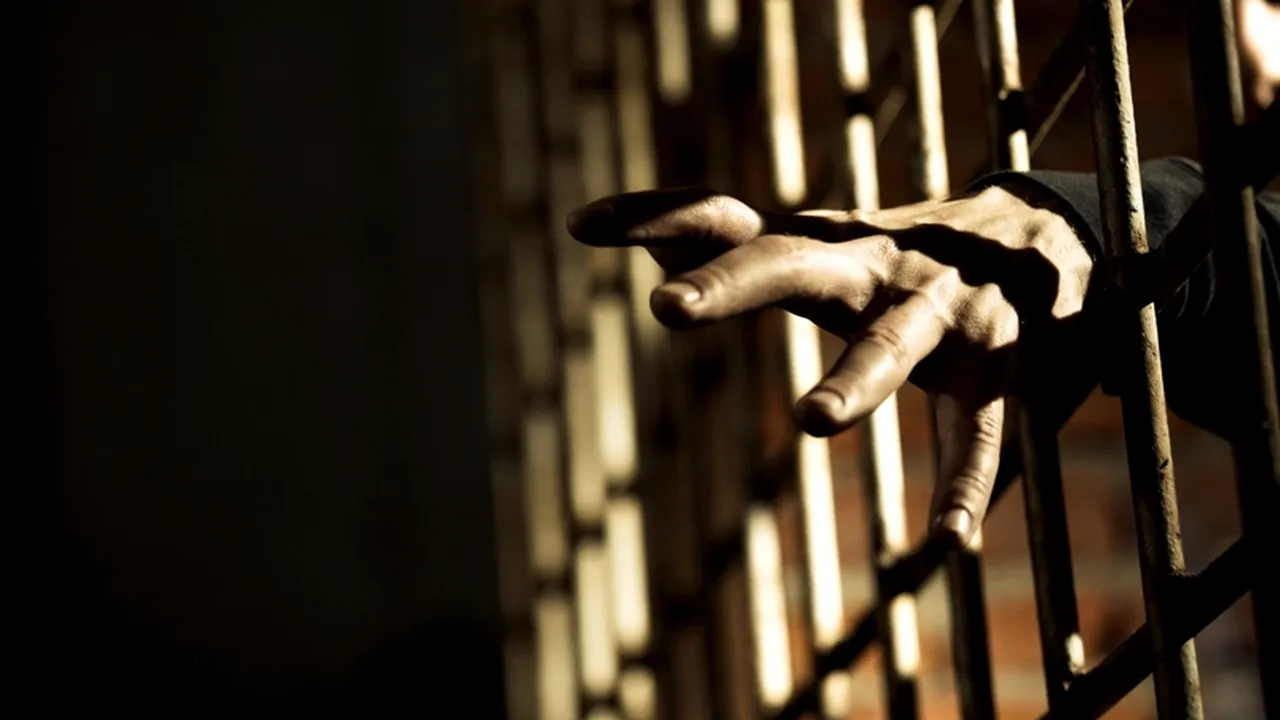 Descoperirea autorităților franceze în beciul unui bărbat. 