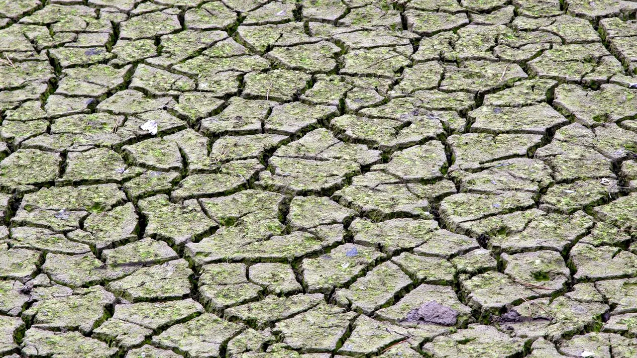 ANM: Cu siguranţă România va avea parte de secetă în a doua parte a verii