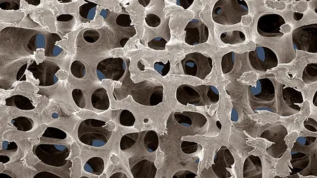 Acesta este materialul de construcții al viitorului. Cercetătorii s-au inspirat după corpul uman