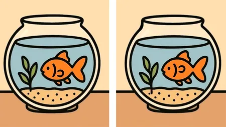 TEST IQ | Doar 1 dintre 20 de oameni poate descoperi toate cele 3 diferențe în maximum 17 secunde