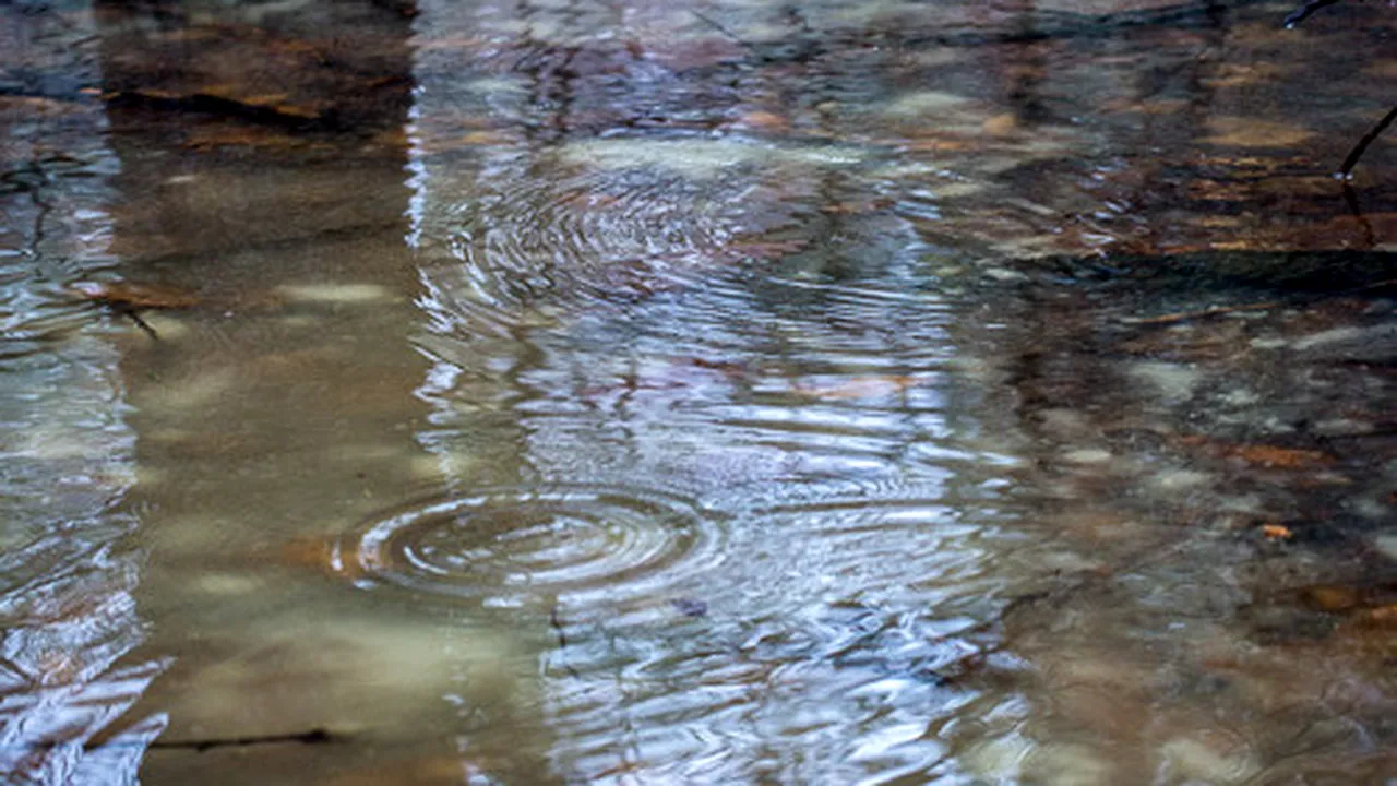 Câteva scurtături către iluminare