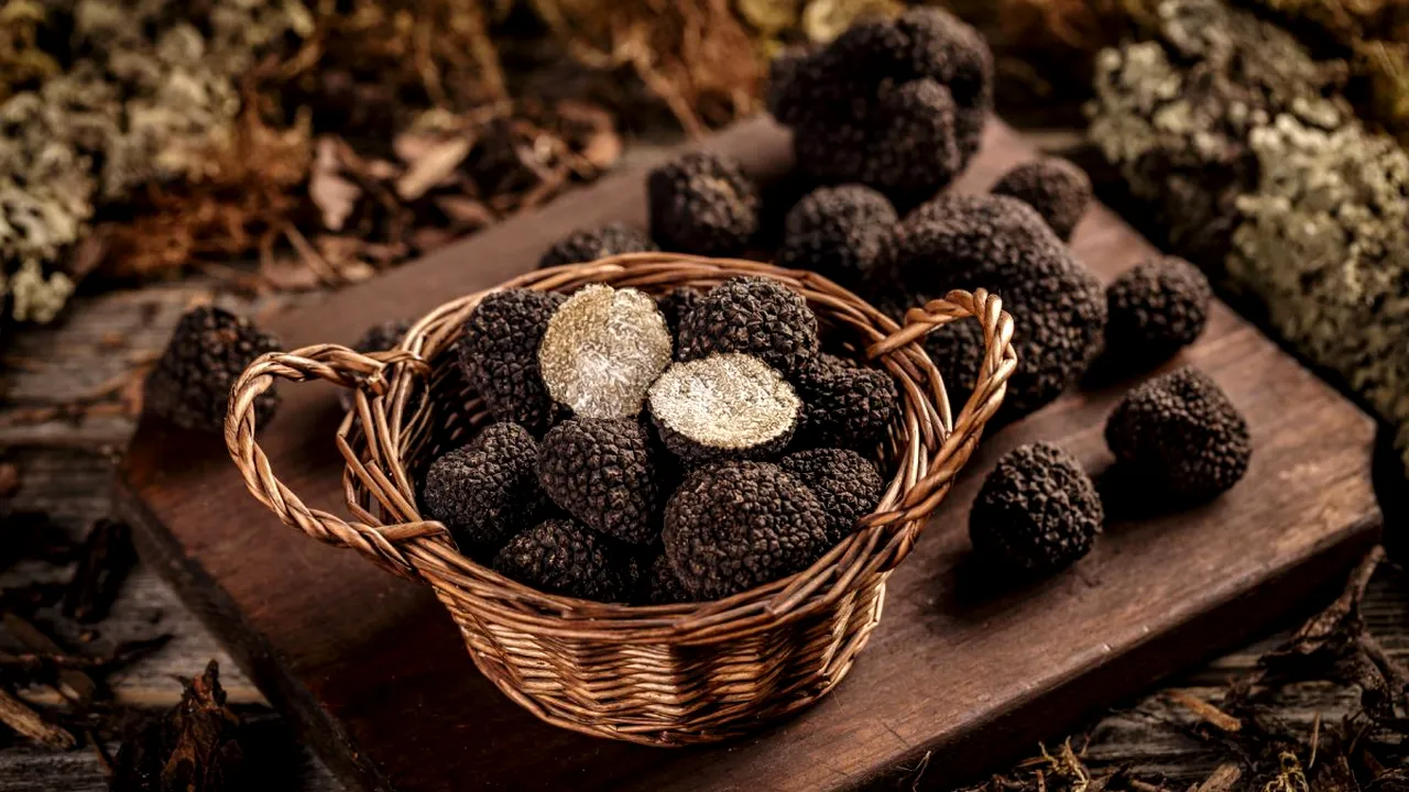 A fost desemnată capitala europeană a trufelor. A primit titlul de Oraș Gastronomic UNESCO 