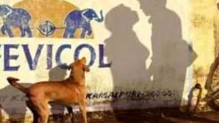 Ce vezi în imagine? Fotografii care îți păcălesc ochii