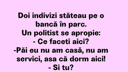 Bancul de duminică | Doi indivizi stăteau pe o bancă în parc