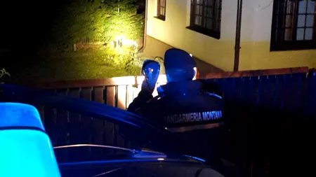Unsprezece urși, alungați de pe străzile unui oraș din România într-o singură zi: 