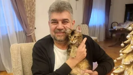 Mihai Tudose, despre PISICA lui Marcel Ciolacu: ,,Eu i-am dus-o CADOU. După 12 ore de stat la serviciu îi schimbă litiera