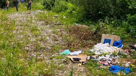 60% dintre români susțin aplicarea unor AMENZI usturătoare pentru aruncatul deșeurilor în păduri