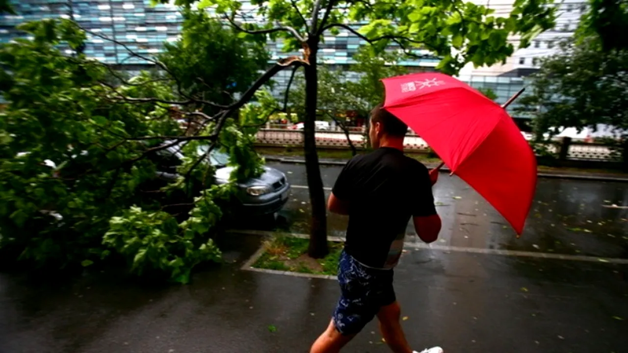 A murit strivit, după ce un copac s-a prăbușit peste mașina sa, în timpul unei furtuni. UPDATE Ce funcție avea bărbatul