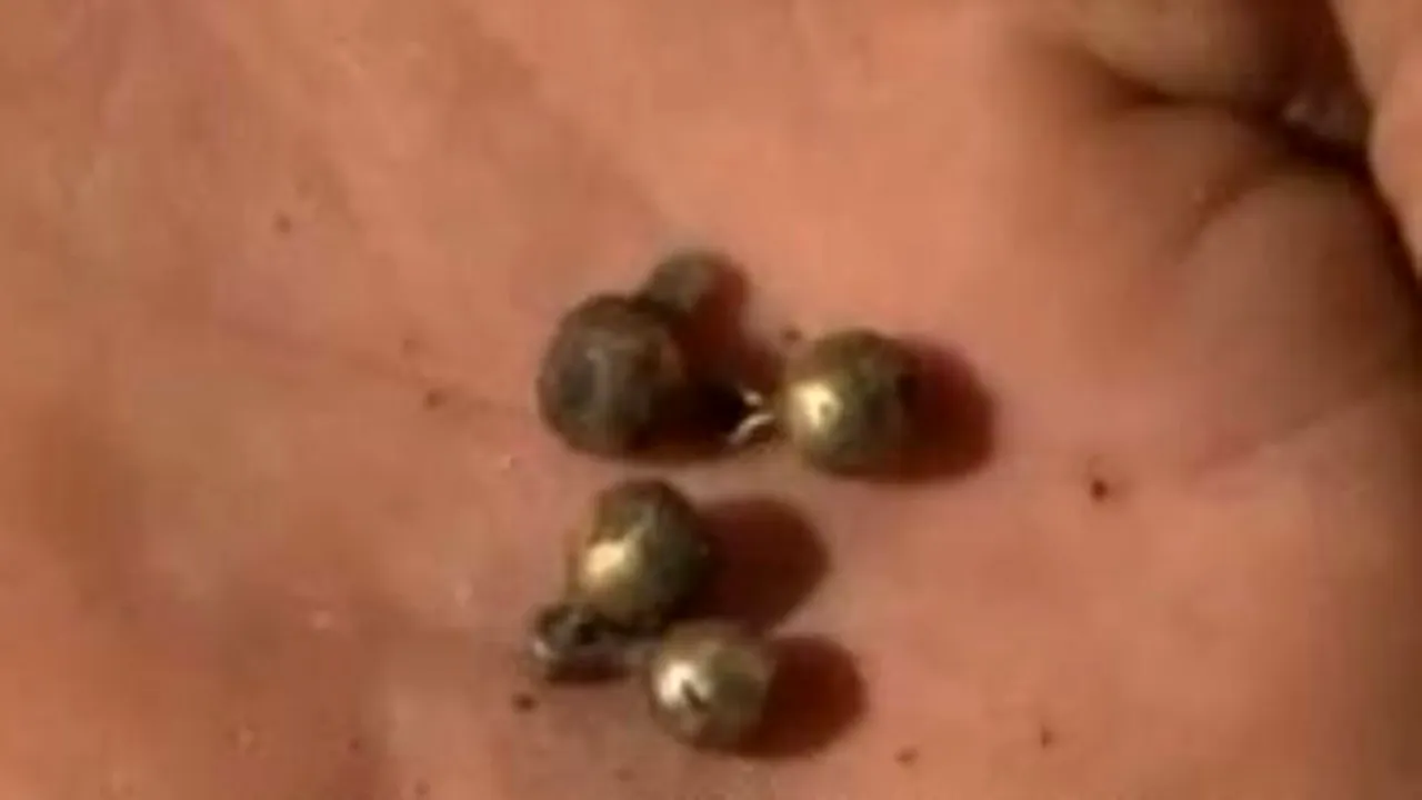 Descoperire neașteptată în județul Argeș. Ce au găsit arheologii români sub podeaua Mânăstirii Valea. GALERIE FOTO