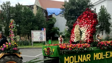 Satul Ciumbrud, CAPITALA TRANDAFIRILOR din România. Peste un milion de plante cultivate anual