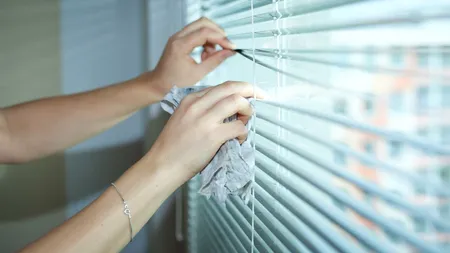 Societatea Euromedia Group SA angajează Ingrijitor cladiri (personal curatenie)