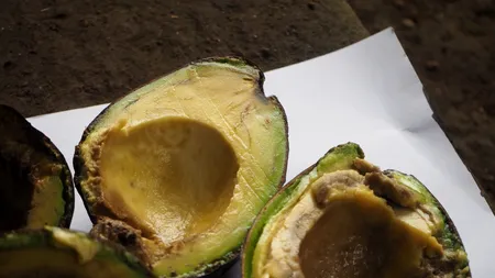 AVOCADO cu pete maro, galbene sau miez negru: e bun să-l mâncăm sau se duce la gunoi?
