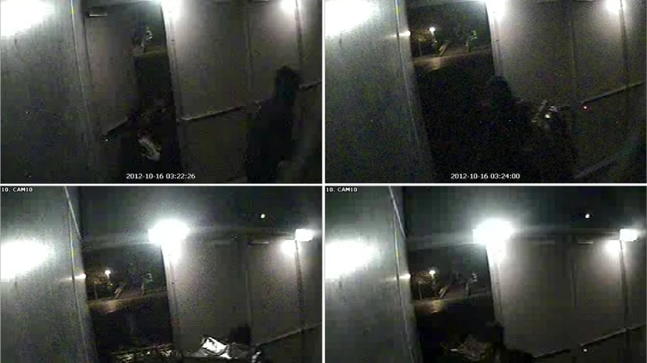 Cel puțin unul dintre tablourile furate din Olanda a fost ars în casa mamei unuia dintre hoți