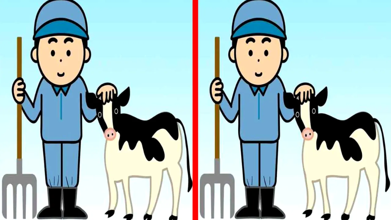 Test de inteligență | Aceste două poze par identice, dar nu sunt. Găsiți cele 3 diferențe!