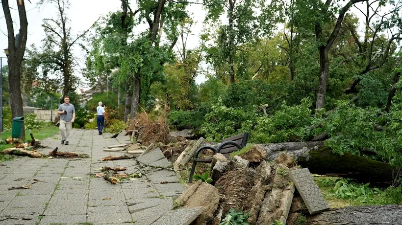 DEZASTRU la Oradea după o furtună de doar câteva minute. Zeci de copaci au fost distruși
