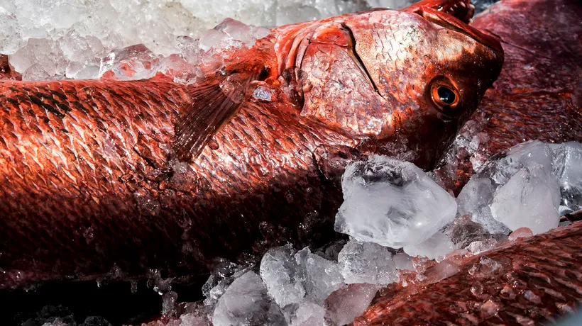 Protecția Consumatorilor a descoperit nereguli la 60% dintre operatorii care comercializează pește verificați - VIDEO