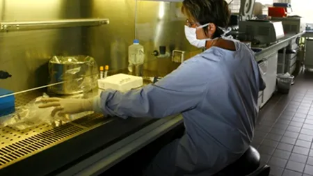Cel puțin 1.000 de cazuri de gripă cu virus A H1N1 și cinci morți în Canada 