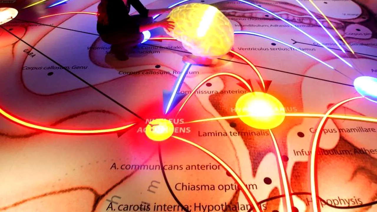 AMĂNUNTUL care le trădează pe femeile care mint în legătură cu vârsta pe care o au