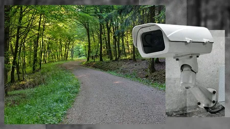 Proprietarii de păduri sunt obligați să asigure supravegherea video a drumurilor forestiere. Vor beneficia și de finanțare