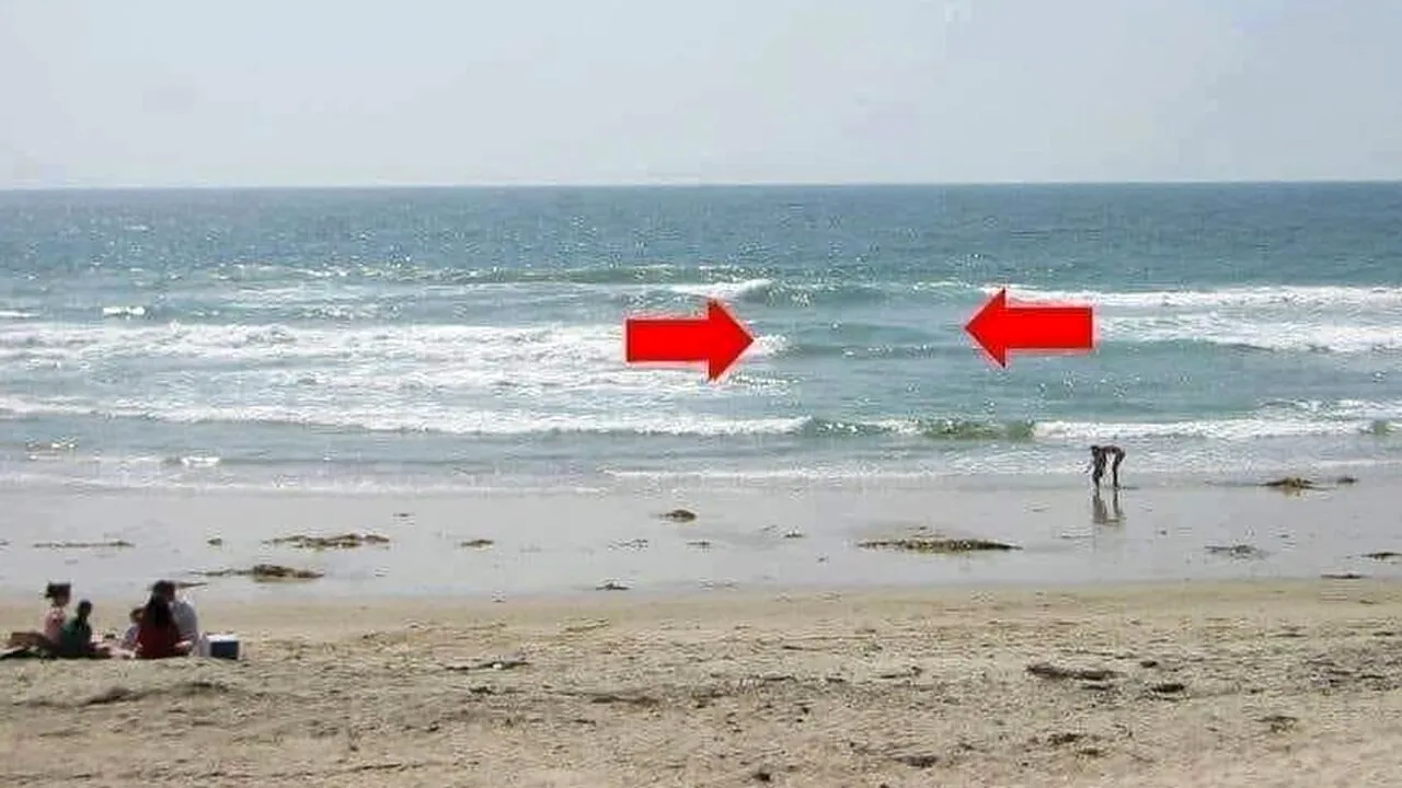 Toți turiștii trebuie să știe asta! Ce trebuie să faci dacă vezi un „anafor” format la malul Mării Negre