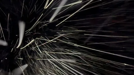 Semnal de ALARMĂ al salvamontiștilor din Sibiu în plină iarnă. Ce mesaj au transmis, după ce au salvat un turist rătăcit pe munte